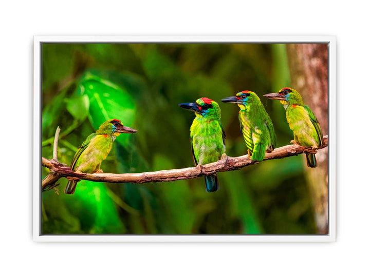 Birds Painting 