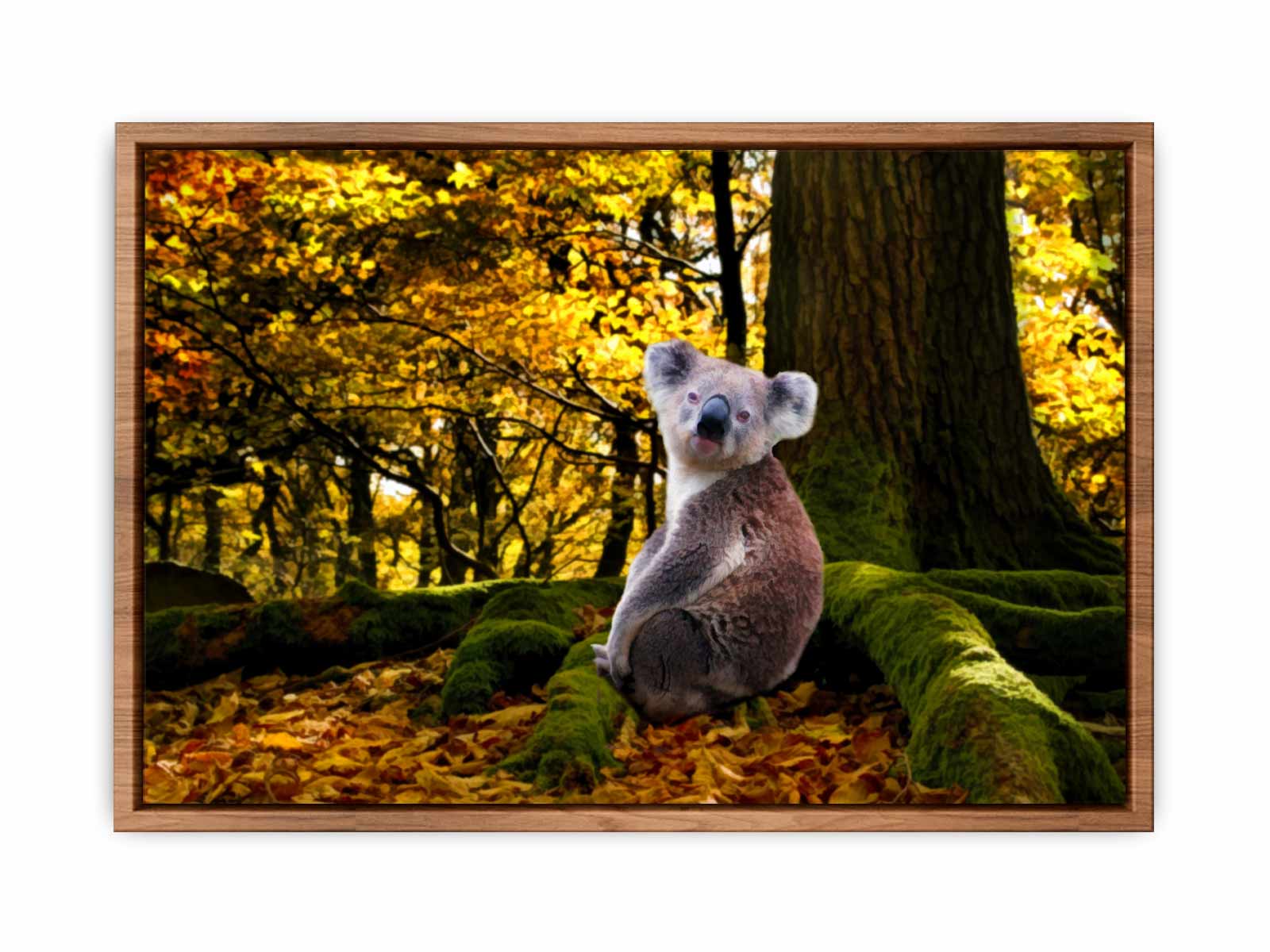 Koala Painting 