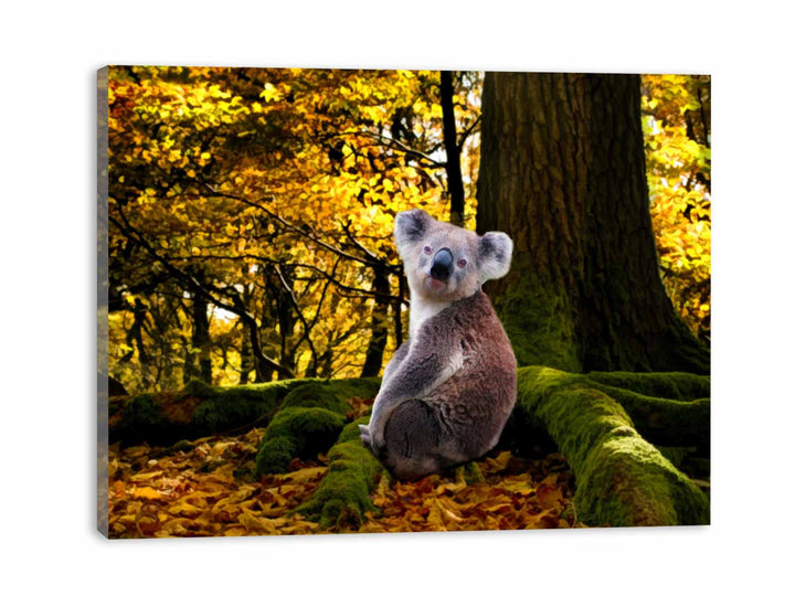 Koala Painting 