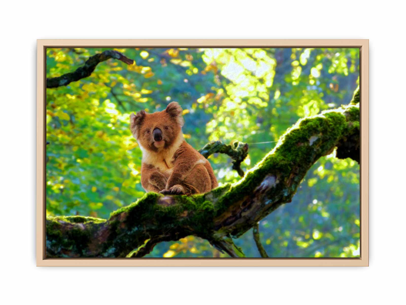 Koala On Tree  Painting 