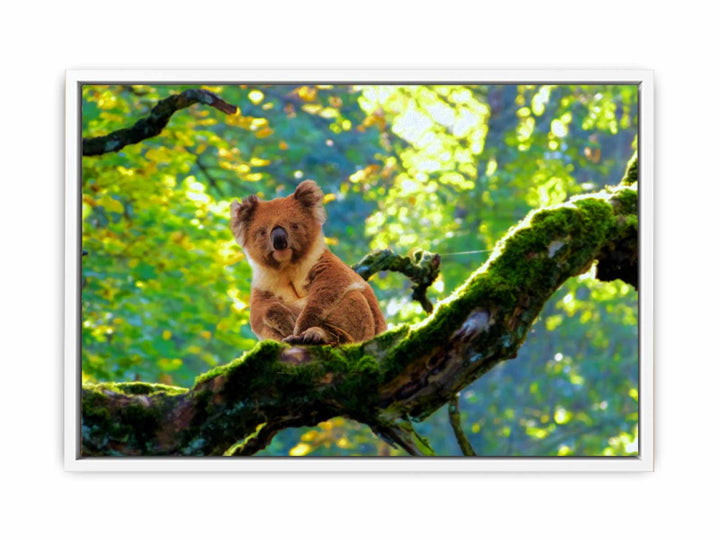 Koala On Tree  Painting 