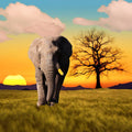 Elephant Sunset Painting