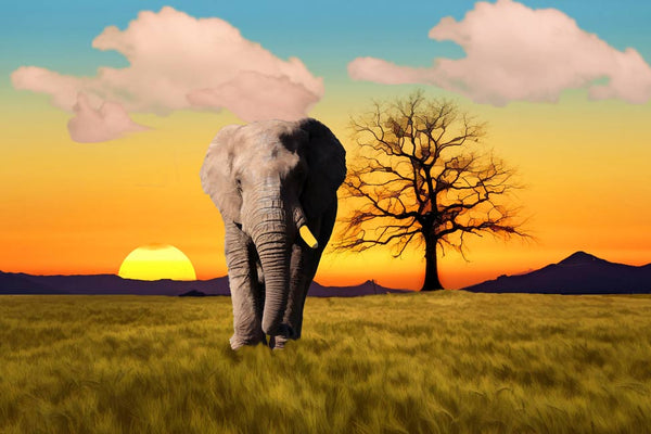 Elephant Sunset Painting