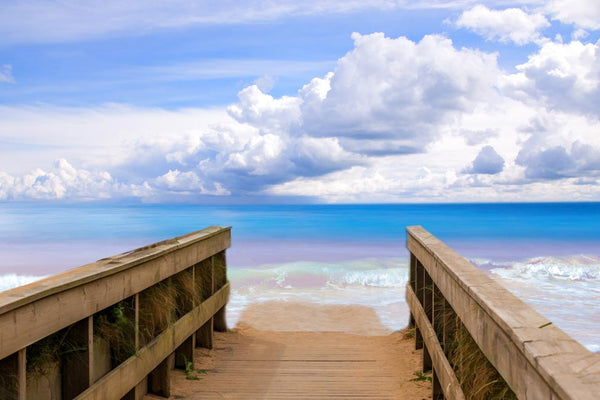  Beach Path to sea Painting