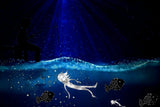 Fish Fine Art  Painting artwork preview