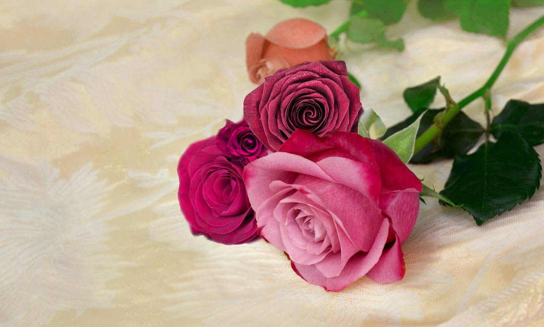 Roses With Leaf Painting