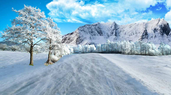 Winter Tree Painting