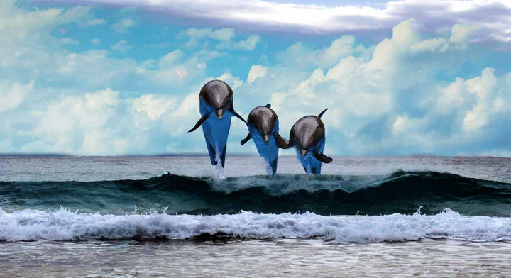  Dolphin  Dancing Painting