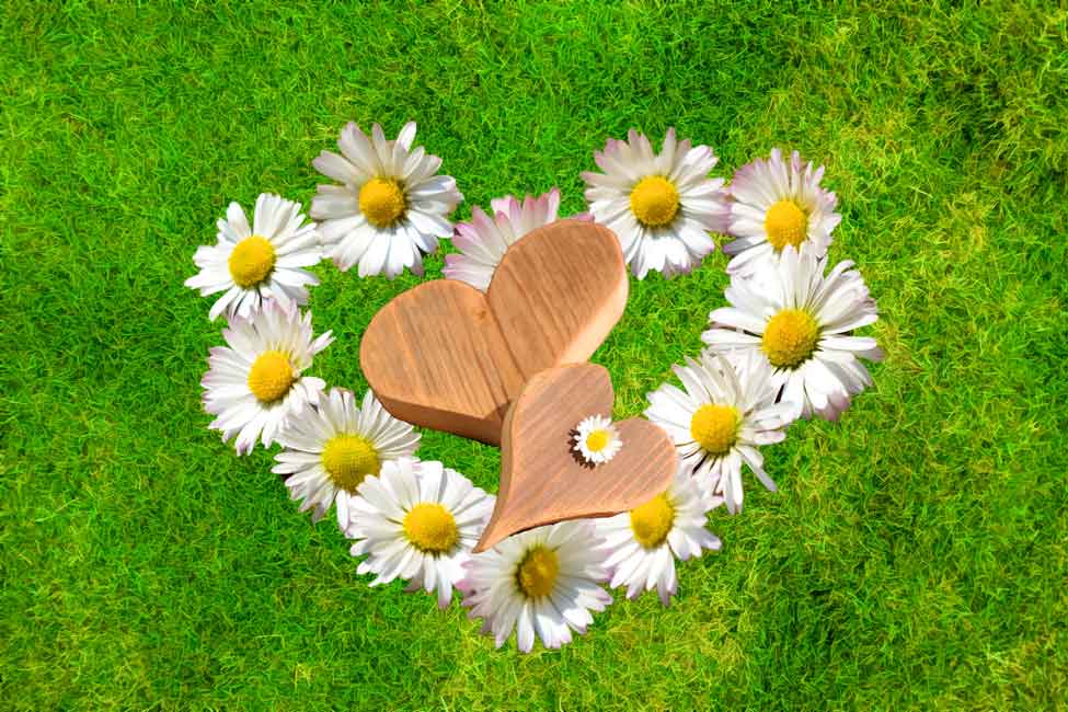 Flower Love Painting