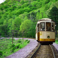 Monsoon Tram Painting
