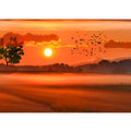Sunset Brids Painting