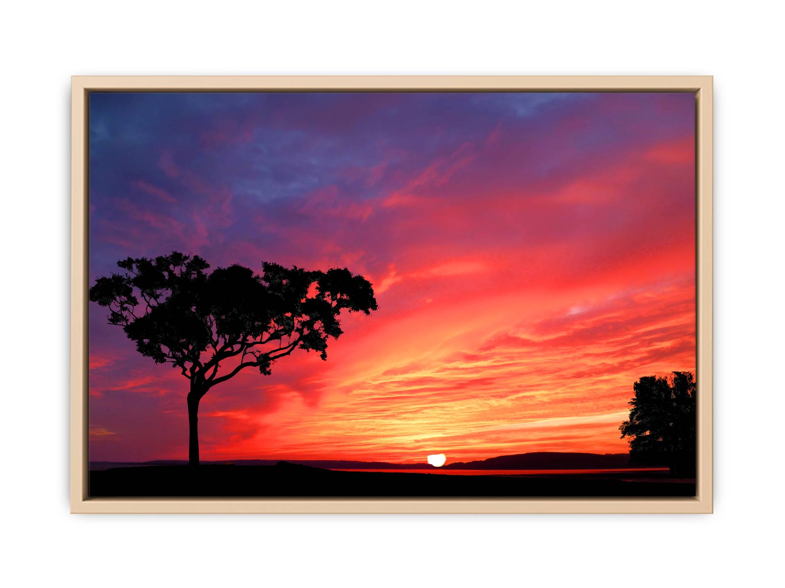 Tree and Sunset Painting 