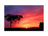 Tree and Sunset Painting artwork preview